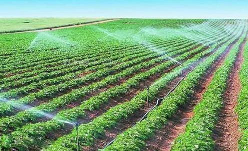 摸少妇下面白浆视频农田高 效节水灌溉